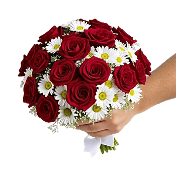 Crimson Rose Elegance