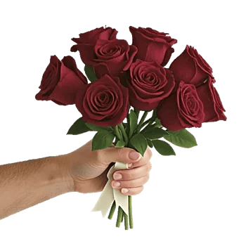 Crimson Rose Elegance