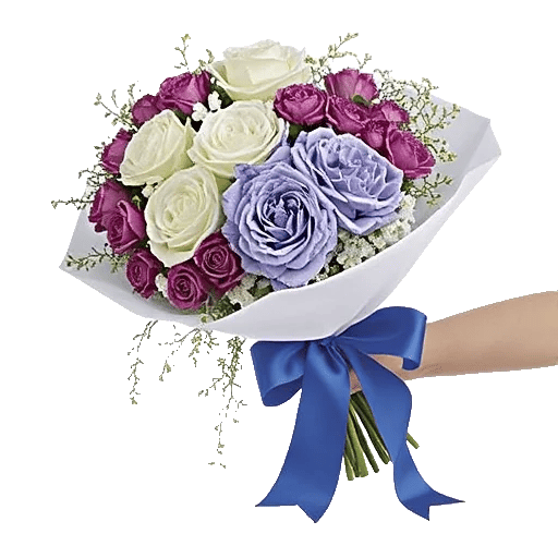 Serene Petal Harmony