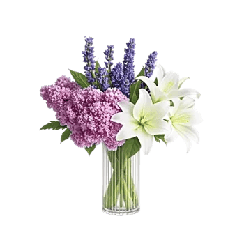 Lavender Bloom Grace