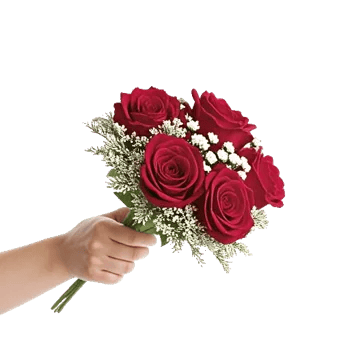 Crimson Rose Elegance