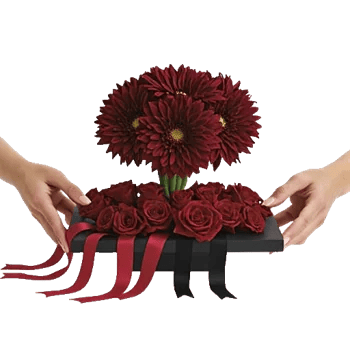 Crimson Blossom Harmony