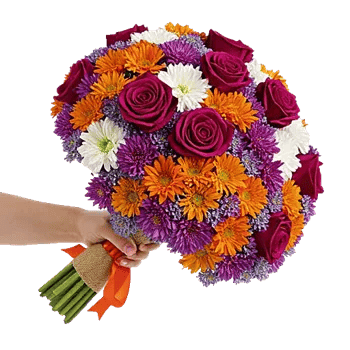 Blushing Rose Symphony