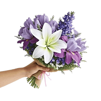 Blossom Harmony Display