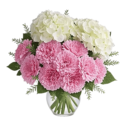 Petal Harmony Bliss