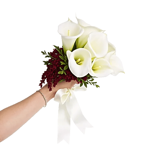 Elegant Calla Lilies