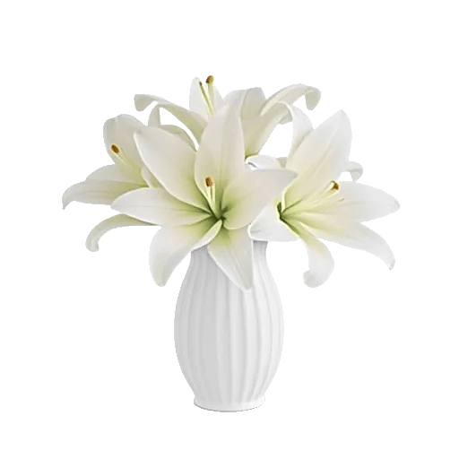 Graceful Lily Display
