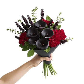 Elegant Calla Lilies