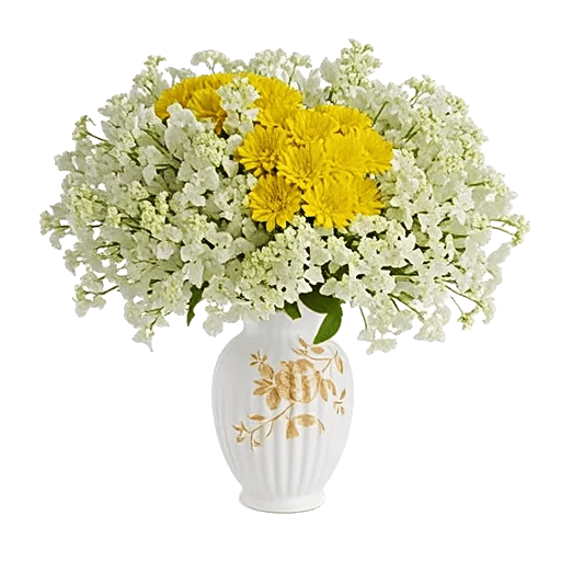 Ivory Blossom Radiance