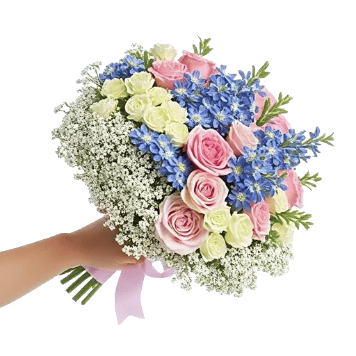 Blossom Petal Serenity