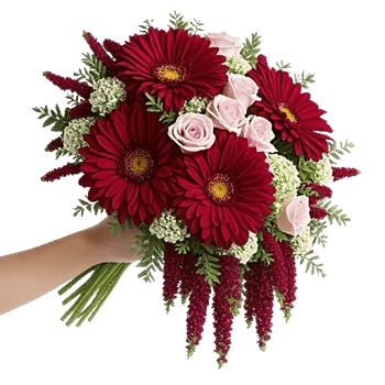 Crimson Blossom Harmony