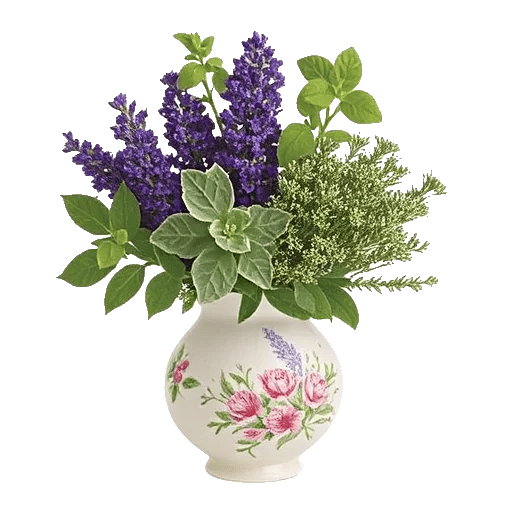 Rosemary Bloom Elegance