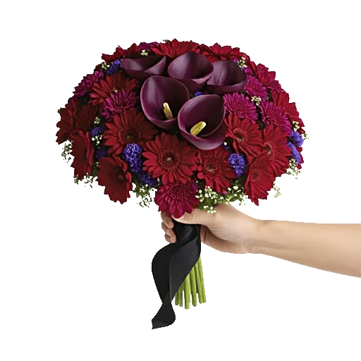 Elegant Calla Lilies