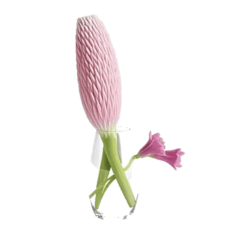 Petal Radiance Bliss