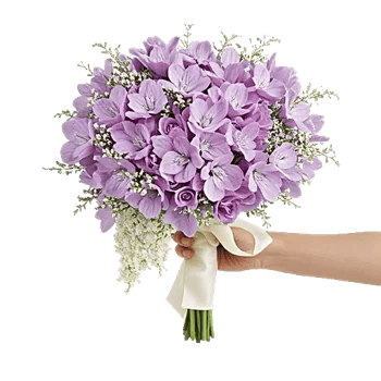 Honeyed Lilac Dream