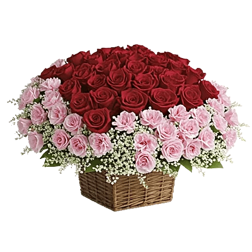 Delicate Petal Cascade