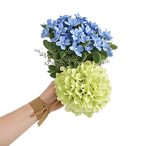 Sapphire Bloom Whisper