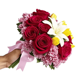 Crimson Rose Elegance