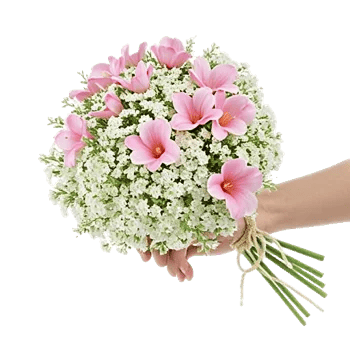 Blossom Radiant Whisper