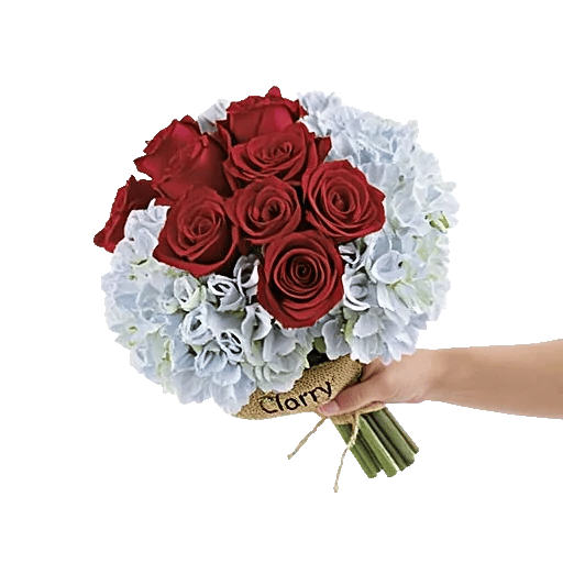 Serene Petal Harmony