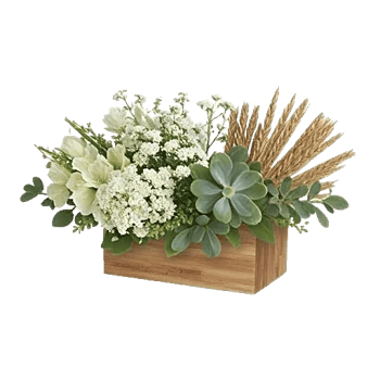 Frosted Lily Spread