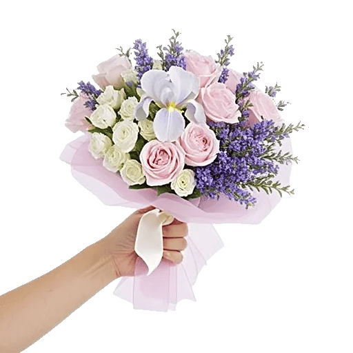 Ivory Blossom Radiance