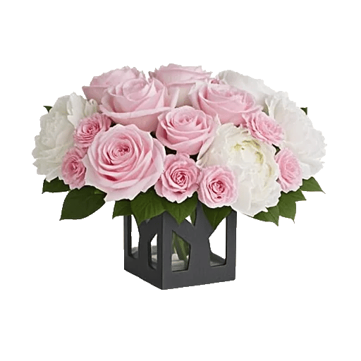 Petal Radiance Bliss
