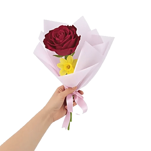 Crimson Rose Elegance