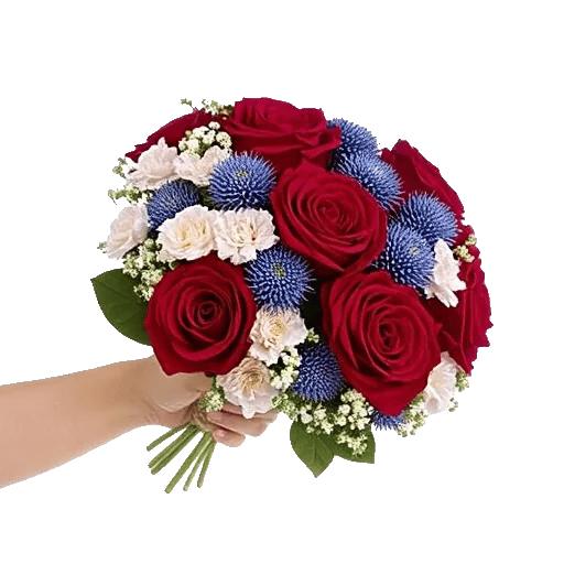 Crimson Rose Elegance