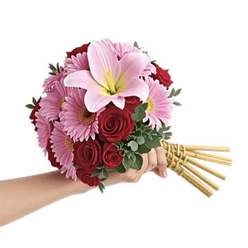 Blushing Rose Symphony