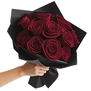 Crimson Rose Elegance