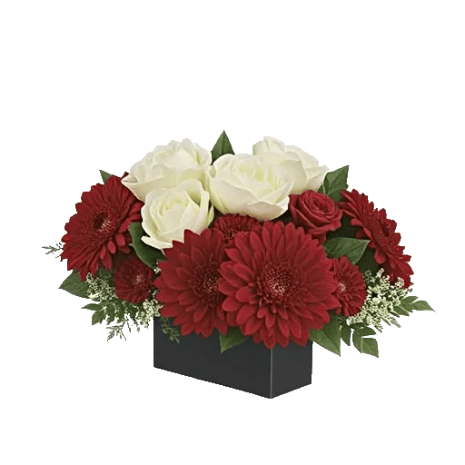 Delicate Petal Cascade