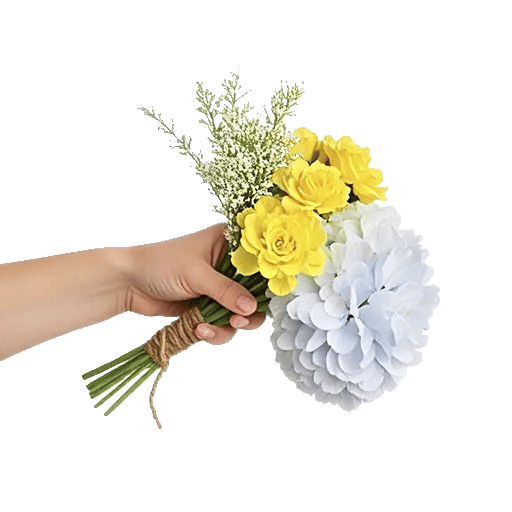 Serene Petal Harmony