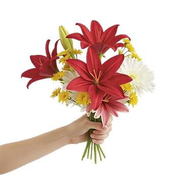 Blossom Harmony Display