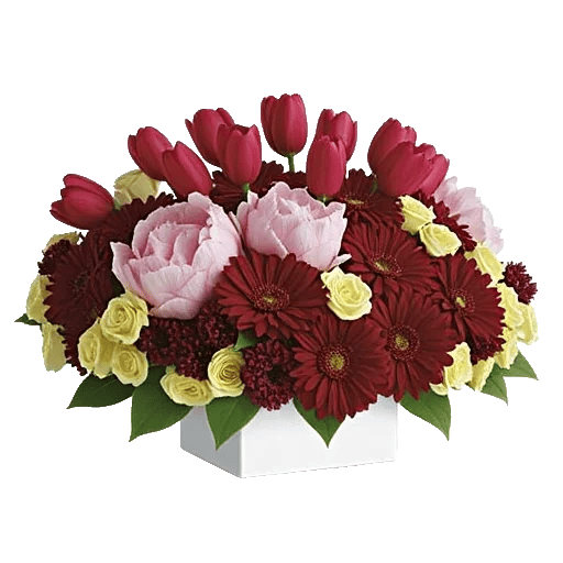 Velvet Tulip Display