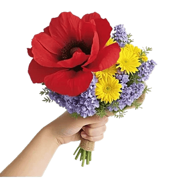 Petal Harmony Bliss