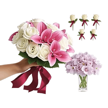 Elegant Calla Lilies