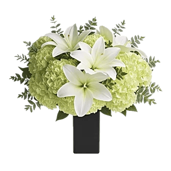 Ivory Blossom Radiance