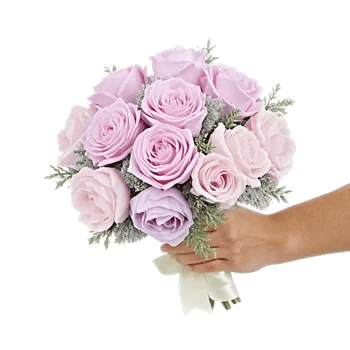 Pastel Pink Roses