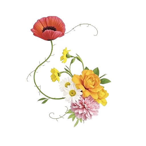 Crimson Blossom Harmony