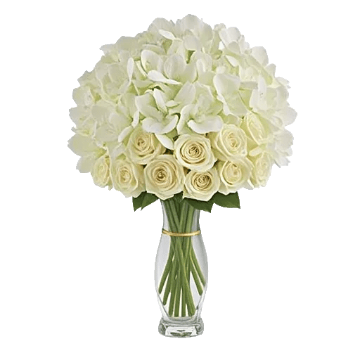 Ivory Blossom Radiance