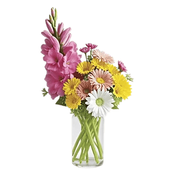 Petal Radiance Bliss