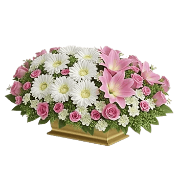 Elegant Calla Lilies