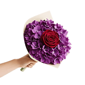 Crimson Rose Elegance