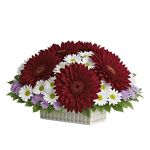 Crimson Blossom Harmony