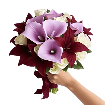 Elegant Calla Lilies