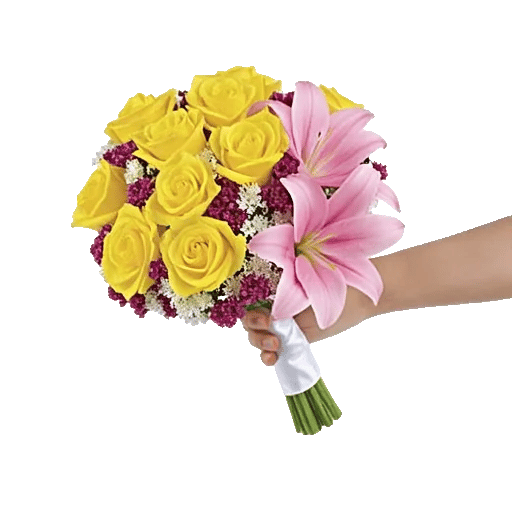 Blushing Rose Symphony