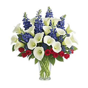 Elegant Calla Lilies