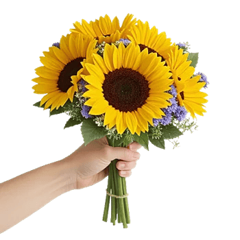 Twinkling Sunflower Dance