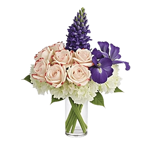 Ivory Blossom Radiance